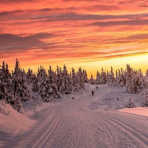 Meet your Posher, Piper